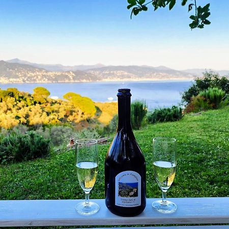 فيلا Agriturismo Terre Rosse بورتوفينو المظهر الخارجي الصورة