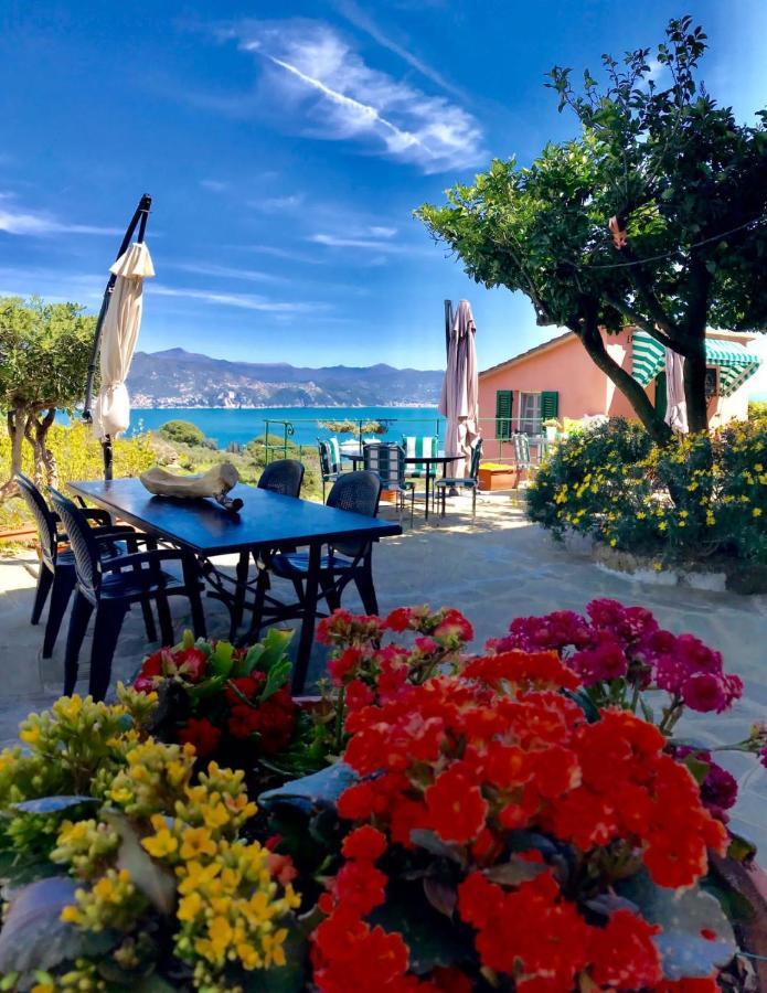 فيلا Agriturismo Terre Rosse بورتوفينو المظهر الخارجي الصورة