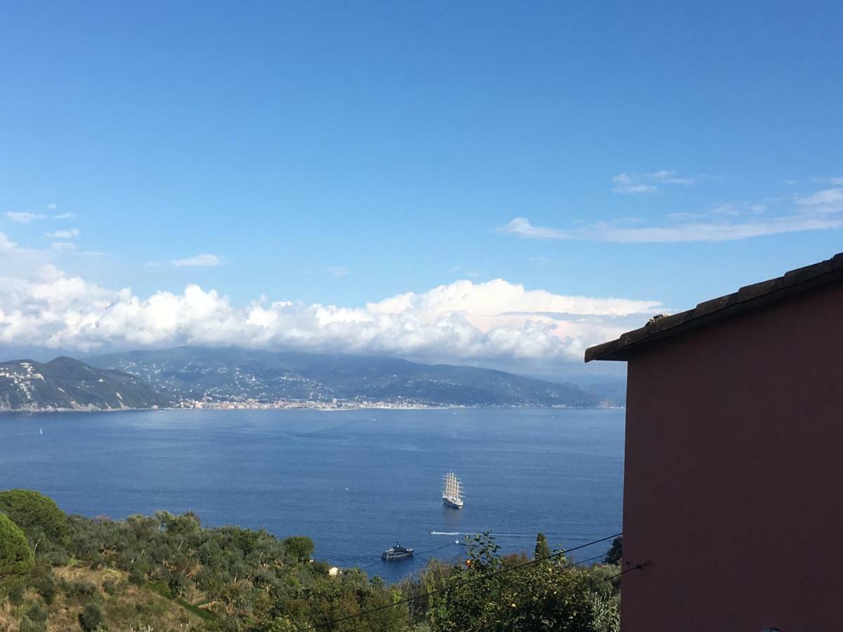 فيلا Agriturismo Terre Rosse بورتوفينو المظهر الخارجي الصورة